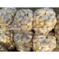 High Quality Fresh Potato crop 2017 for chip